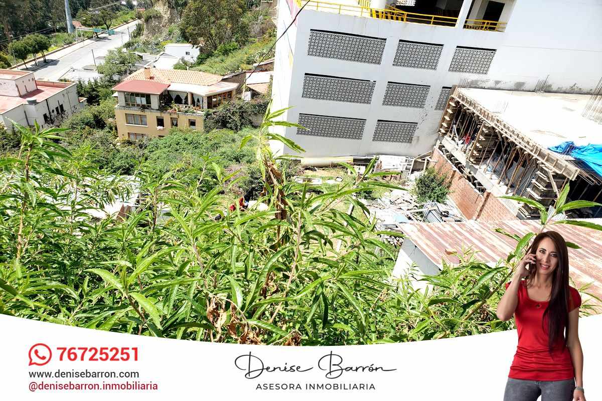 Terreno en San Jorge en La Paz    Foto 4