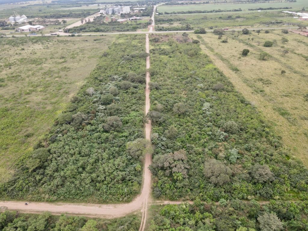 Terreno En Venta de 1 a 8 Hectáreas Sobre Carretera Cotoca - Pailas ($us 26 x m2) Foto 4