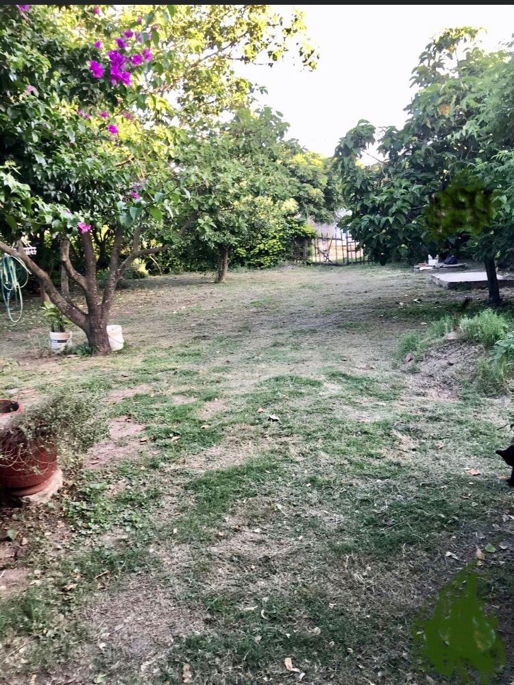 Casa 8VO ANILLO ENTRE AV. LUJAN Y JULIO LEIGUE Foto 5