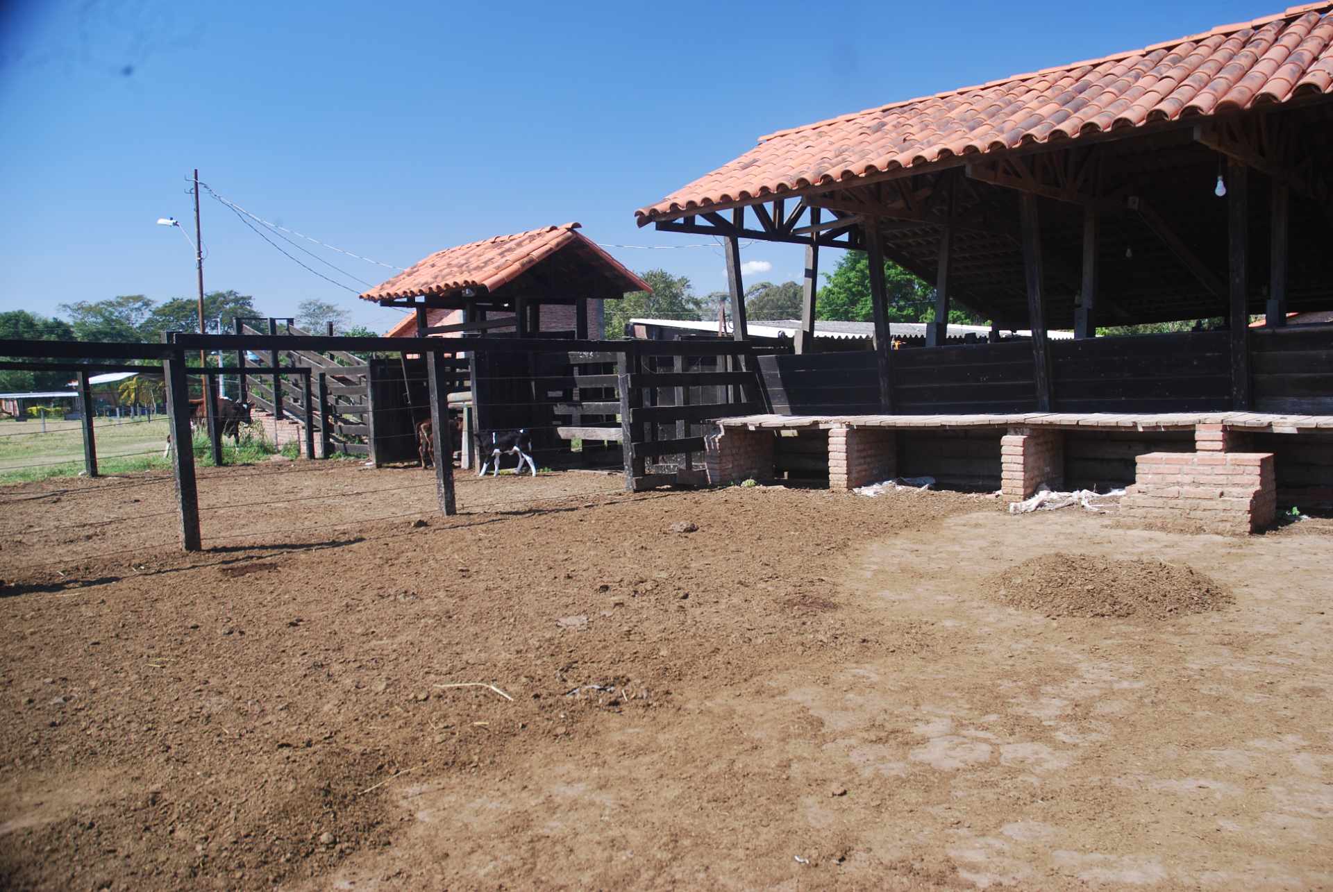 Quinta propiedad agrícola en Venta A 20mn de Warnes  vendo una Hermosa  Lecheria productiva  de 56ha  Foto 1