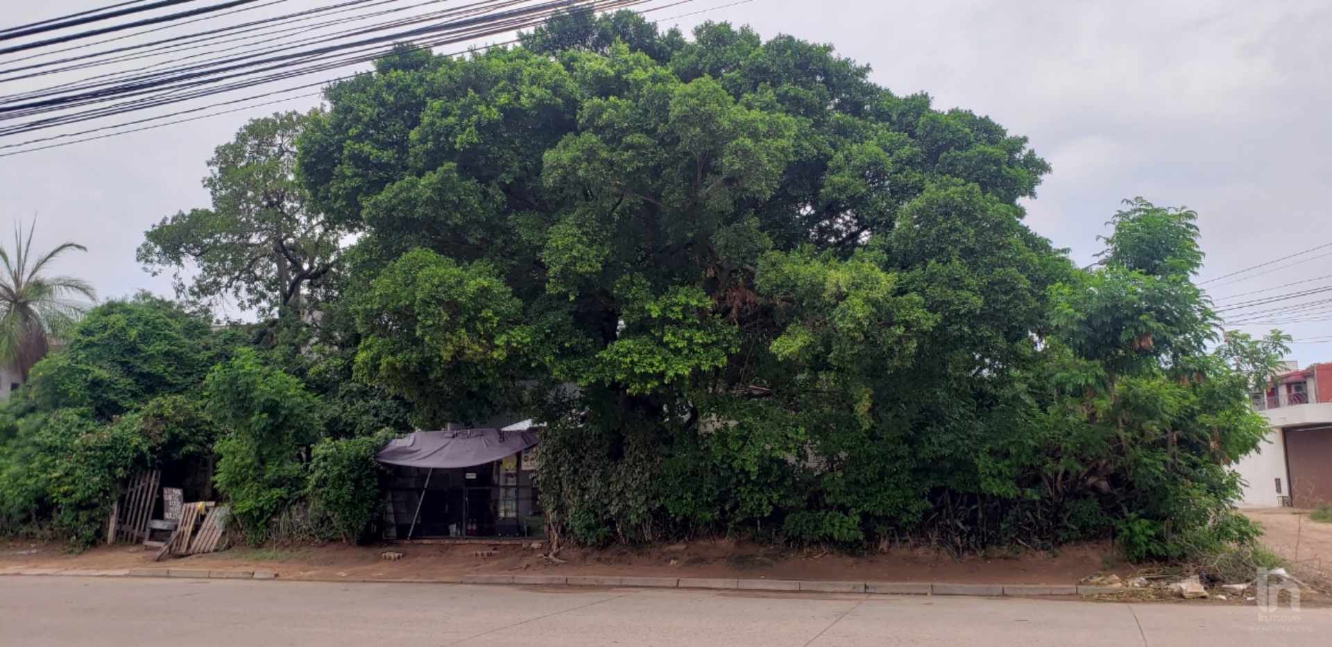 Terreno en VentaAv.Banzer entre 6 y 7 anillo atrás del Hipermaxi  Center  Foto 2