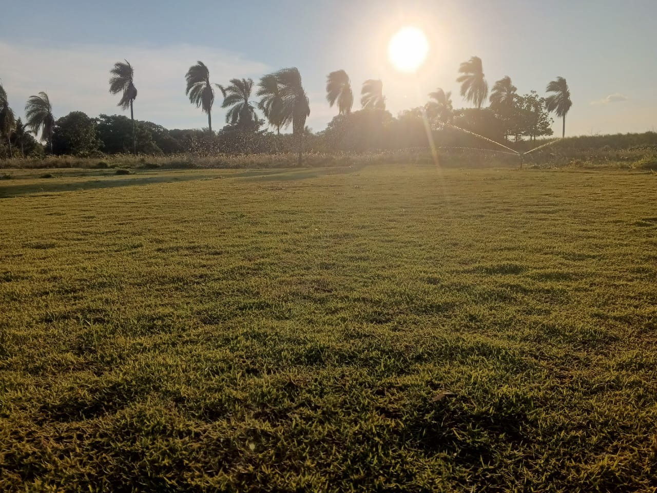 Terreno en Zona Nueva Santa Cruz en Santa Cruz de la Sierra    Foto 4