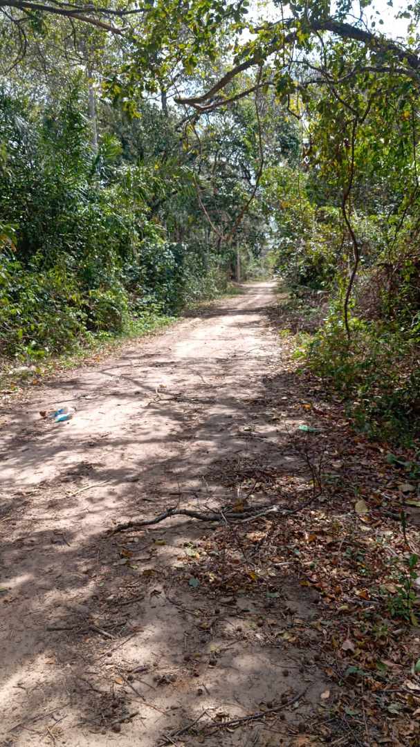 Terreno en VentaBonito terreno de 720m2 en la urbanizacion  Valle Sanchez 2    Foto 2