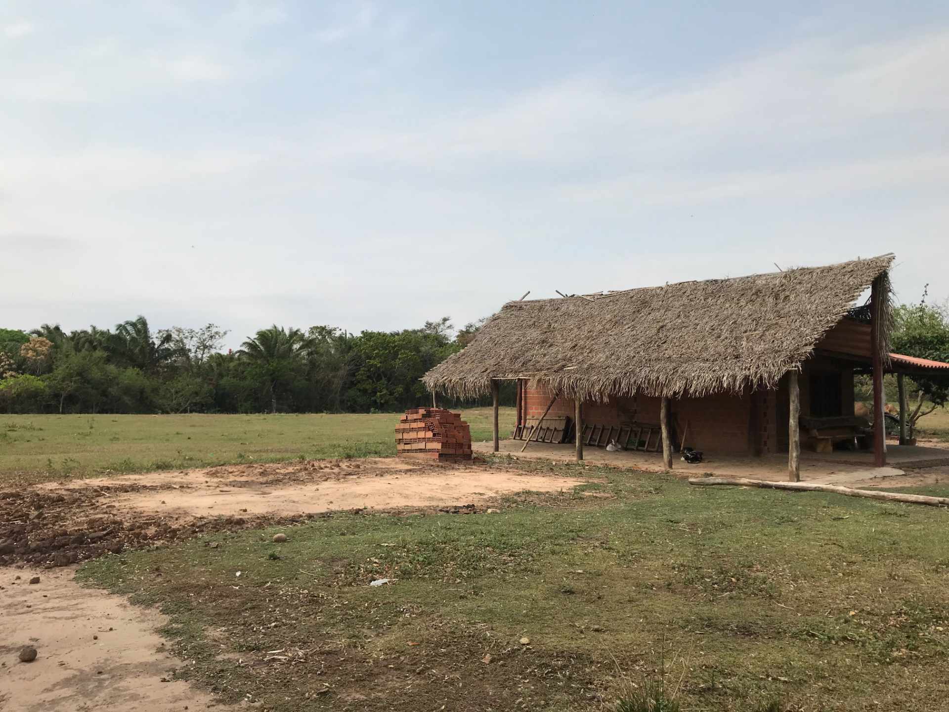 Terreno en VentaUrubó zona Norbélgica atrás de Puerto Santa Cruz.  Foto 17