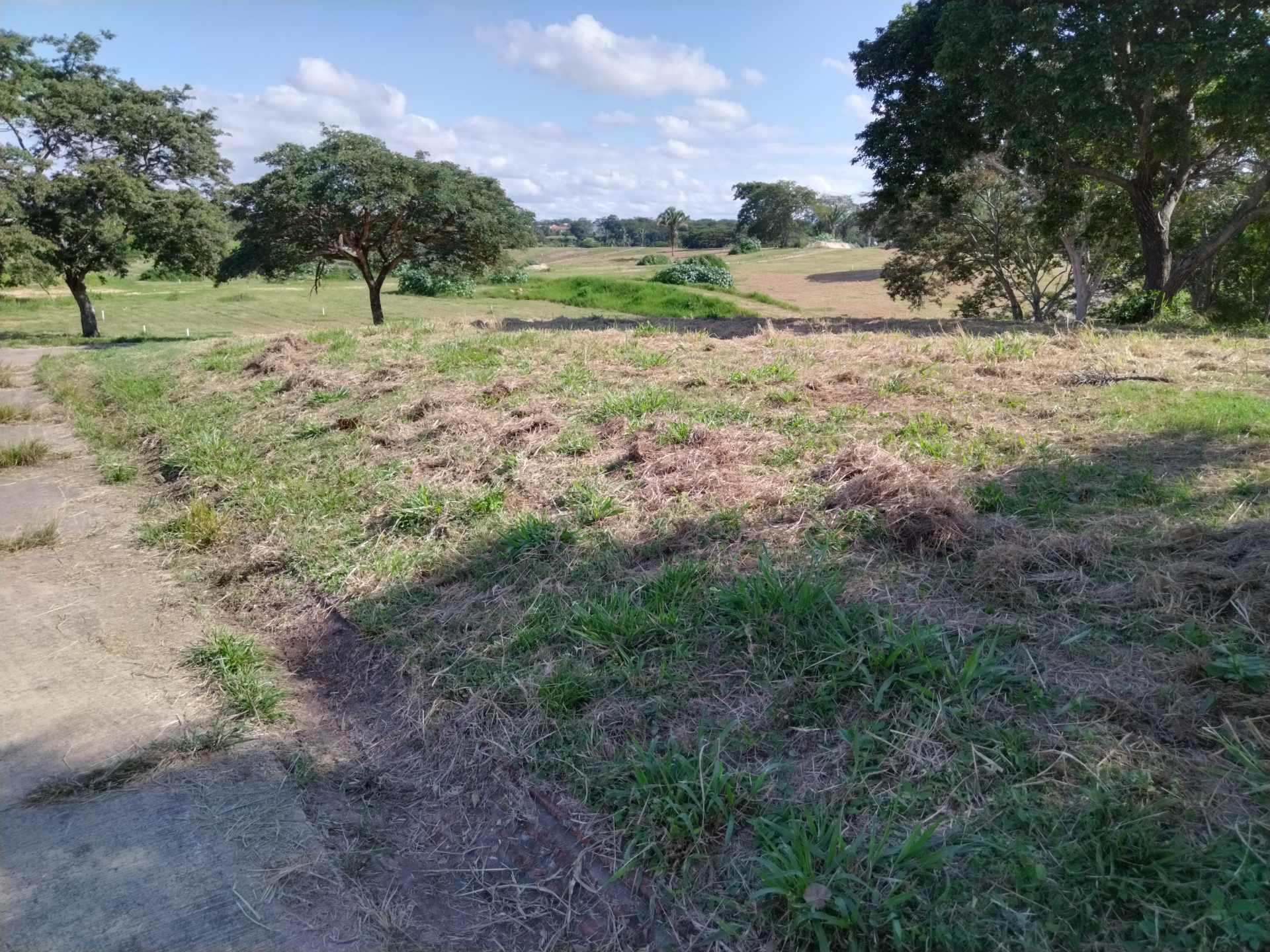 Terreno en VentaCOLINAS DEL URUBO LAS PALMERAS/SECTOR LOMERÍO    Foto 6