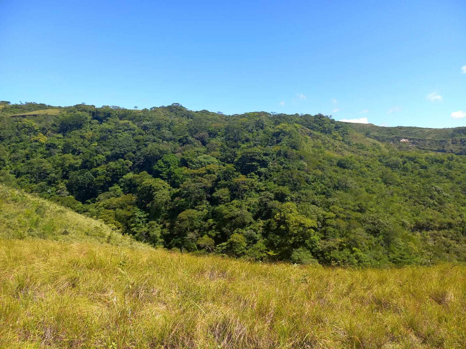 Quinta propiedad agrícola en Doble vía La Guardia en Santa Cruz de la Sierra    Foto 13