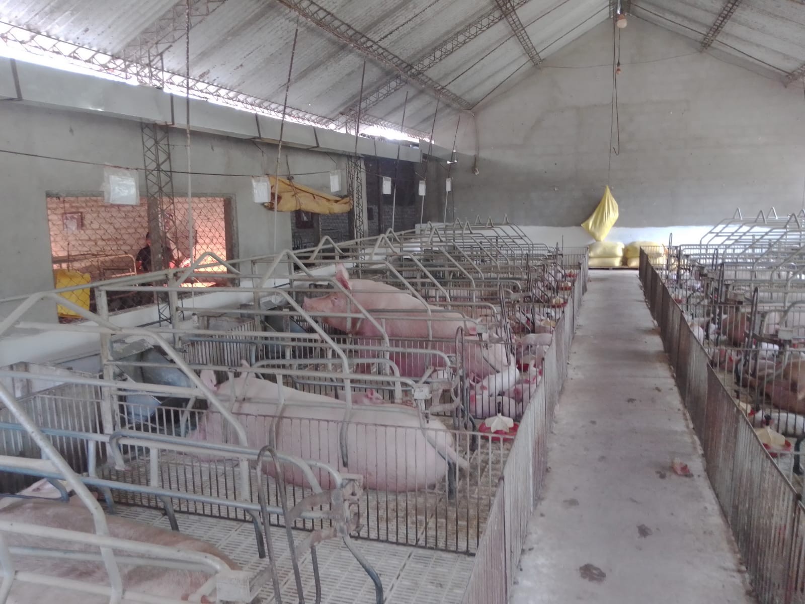 Quinta propiedad agrícola en VentaCOTOCA, ZONA SUE ESTE  Foto 18