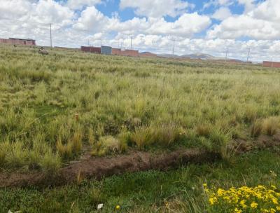 81b061361991a4d4b6fb181c0af7df52c46cd2