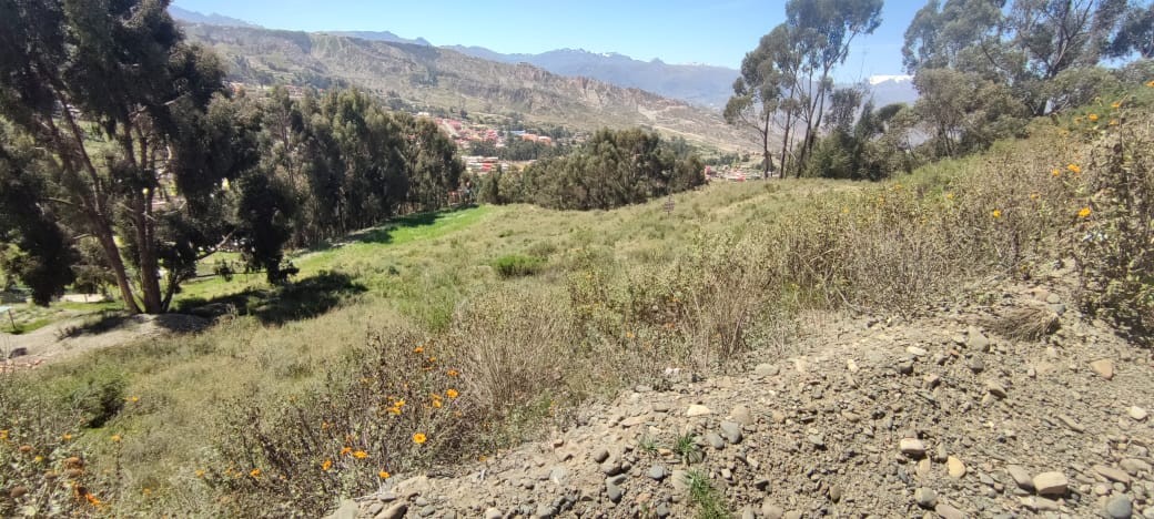Terreno en VentaAchocalla, colindante con Senkata El Alto    Foto 2