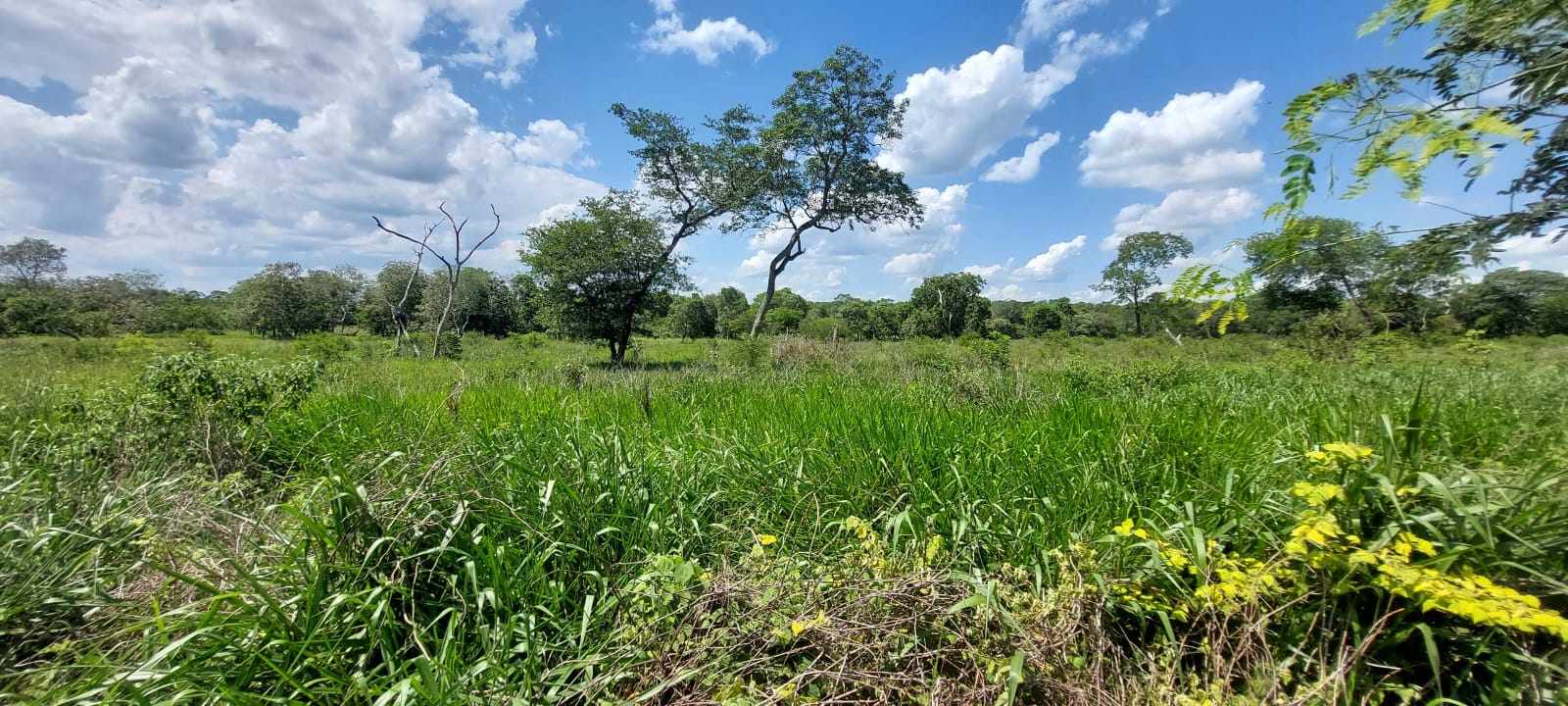 Quinta propiedad agrícola SAN JOSE DE CHIQUITOS Foto 2