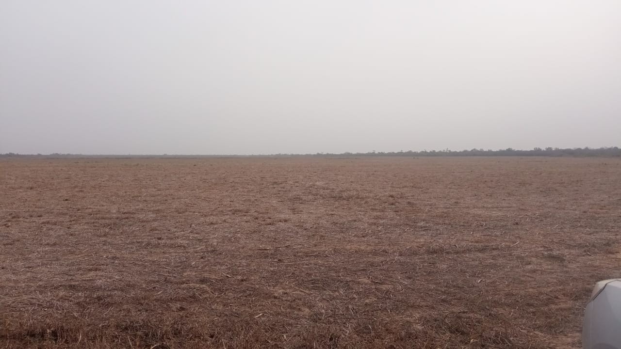 Quinta propiedad agrícola en VentaLinda propiedad  agricola  de 604ha por Pailon Sur, 70km entrando    Foto 14