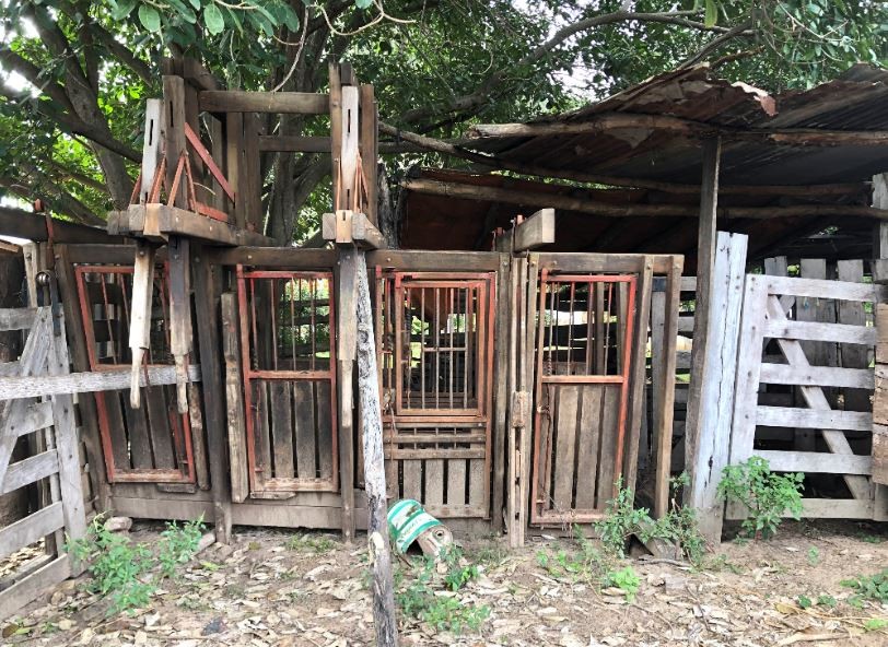 Quinta propiedad agrícola en Zona Nueva Santa Cruz en Santa Cruz de la Sierra    Foto 13
