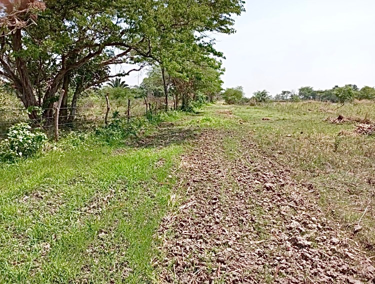 Terreno en Venta<b>TERRENO EN VENTA, WARNES - AZUSAQUI.</b>    Foto 3