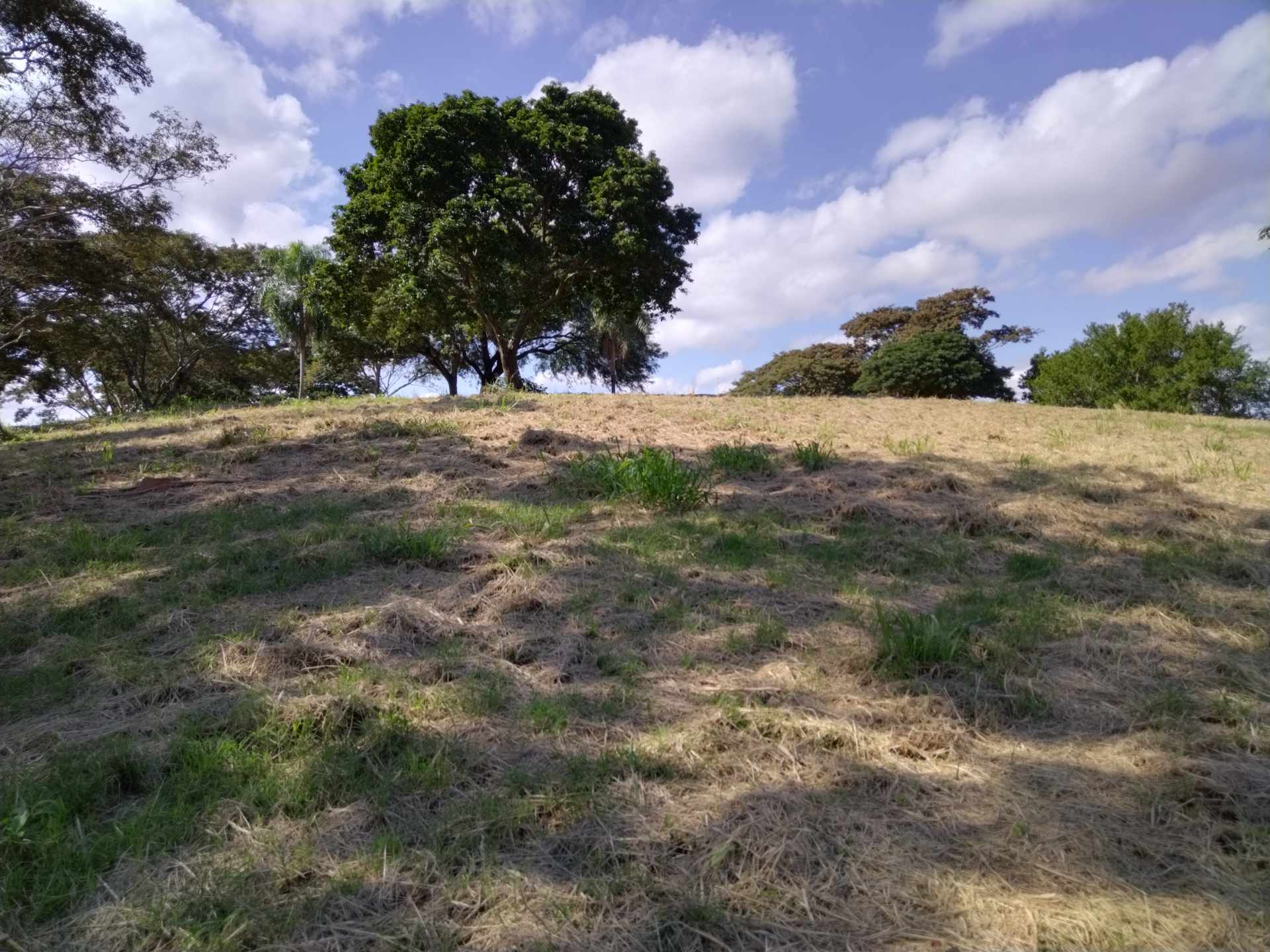 Terreno en VentaCOLINAS DEL URUBO LAS PALMERAS/SECTOR LOMERÍO    Foto 1