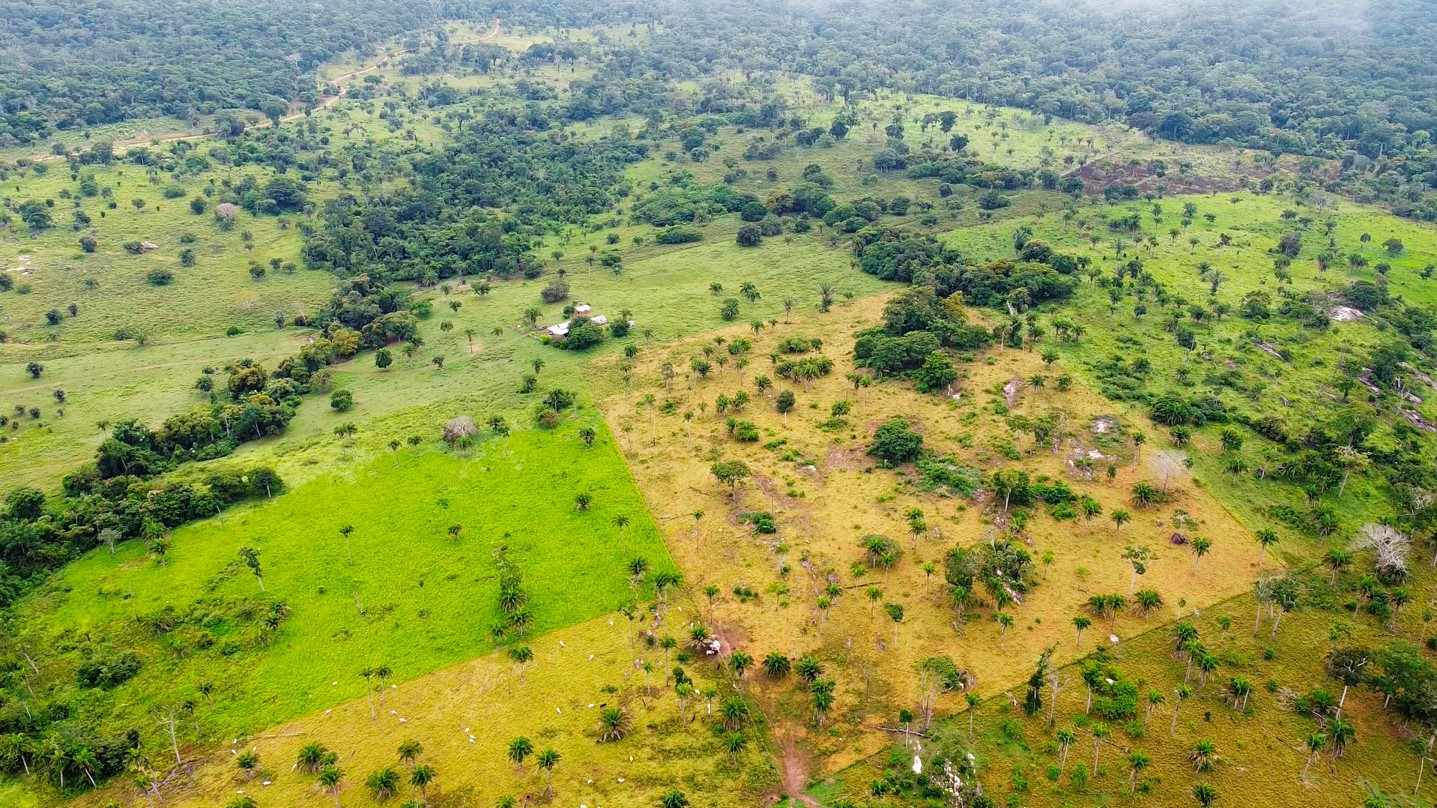 Quinta propiedad agrícola en VentaPROPIEDAD GANADERA EN EL MUNICIPIO DE SAN JAVIER Foto 5