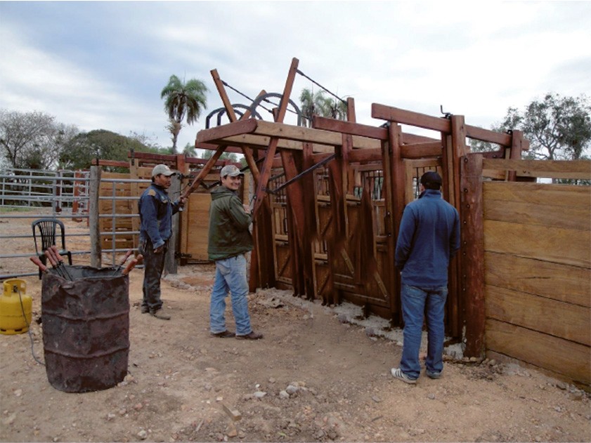 Terreno en VentaPropiedad ganadera en San Javier, 24km al oeste camino hacia El Puente    Foto 11