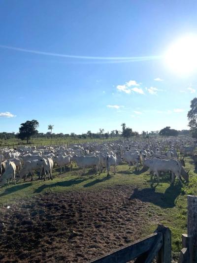 828e42c22309b4a72824d00674a2d7a1b59791