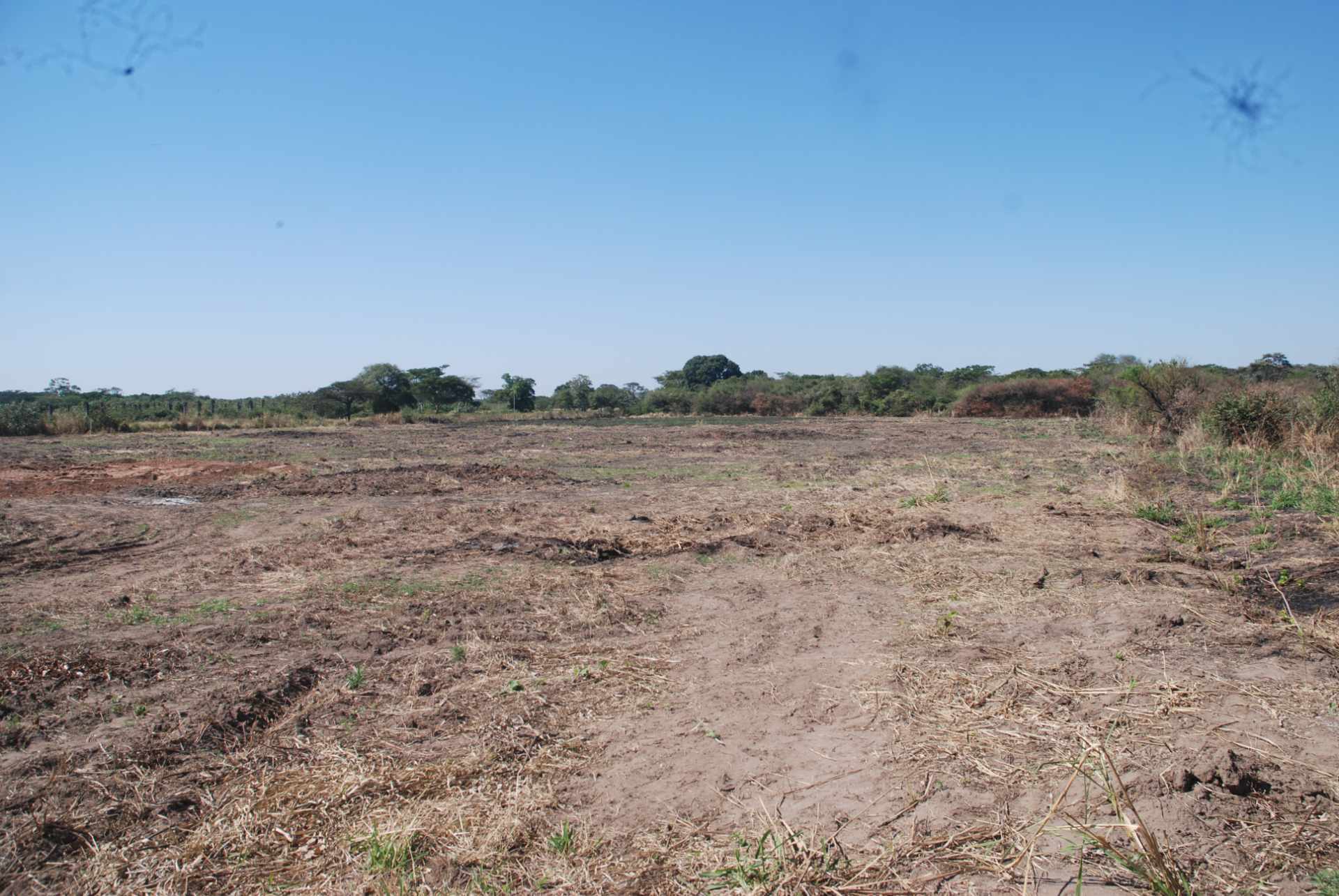 Terreno en VentaCotoca 2do anillo carretera a Pailon, cerca Cofrico Foto 10