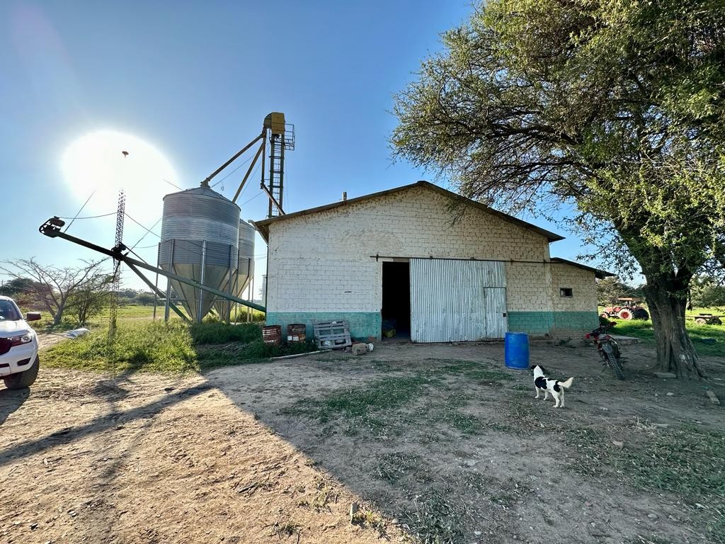 Quinta propiedad agrícola en VentaEn Venta: 2.300 Hectáreas Agrícola - Ganadera en Tres Cruces Foto 7