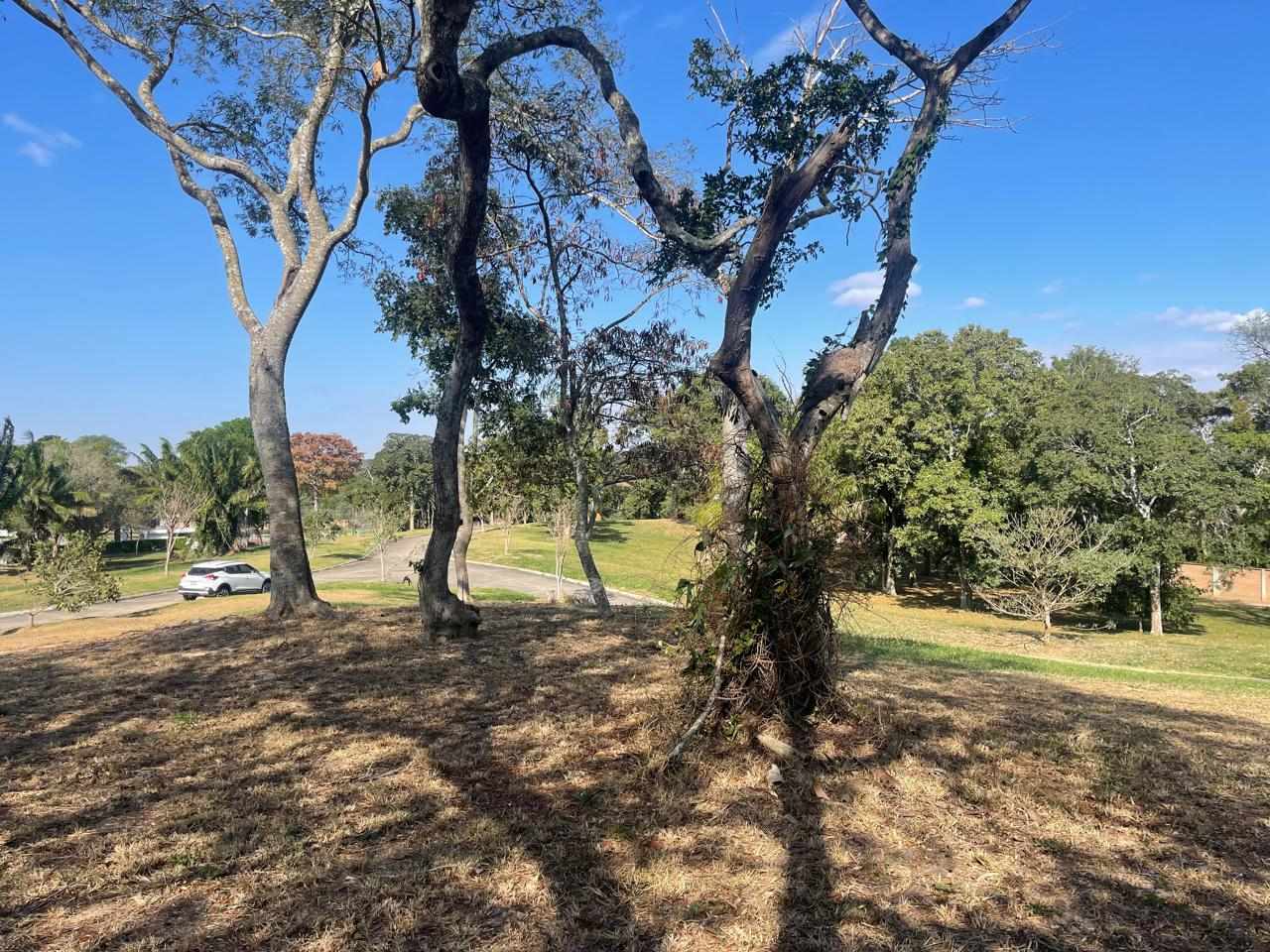 Terreno en VentaHermosos terrenos en altura en condominio Las Palmas del Urubo I    Foto 6