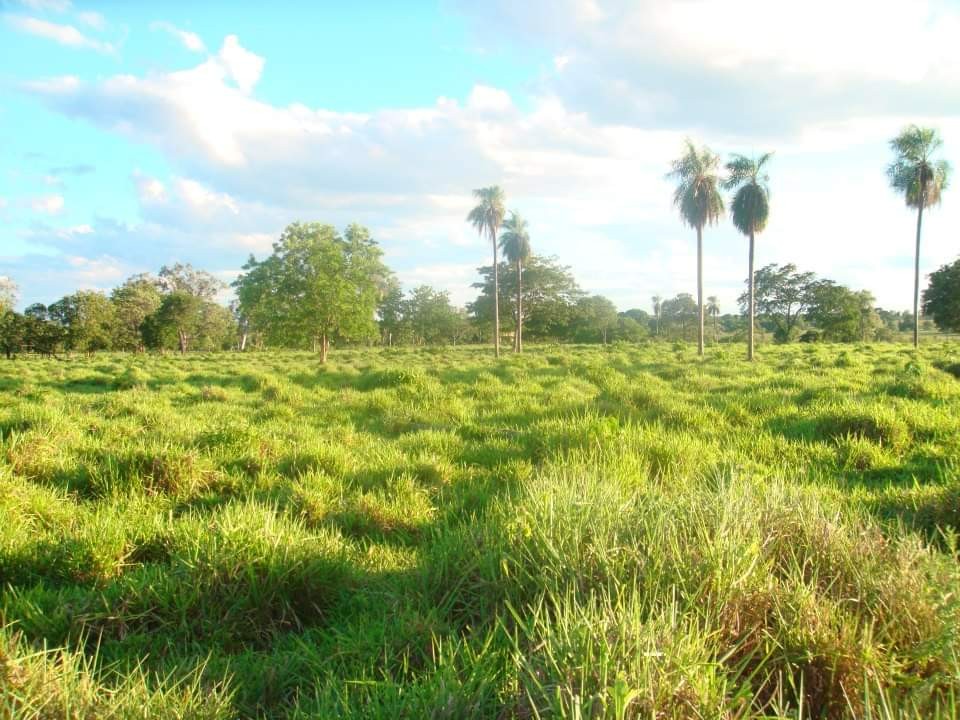 Terreno en VentaROBORÉ frente a rotonda de ingreso y gasolinera, sobre Carretera Bioceánica    Foto 2