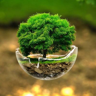 82c46060b9e8e016c6ffac964d8db77205da22