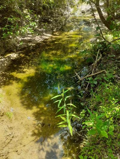 82cc61474978d5d4c608793fc9059f8f5768c2