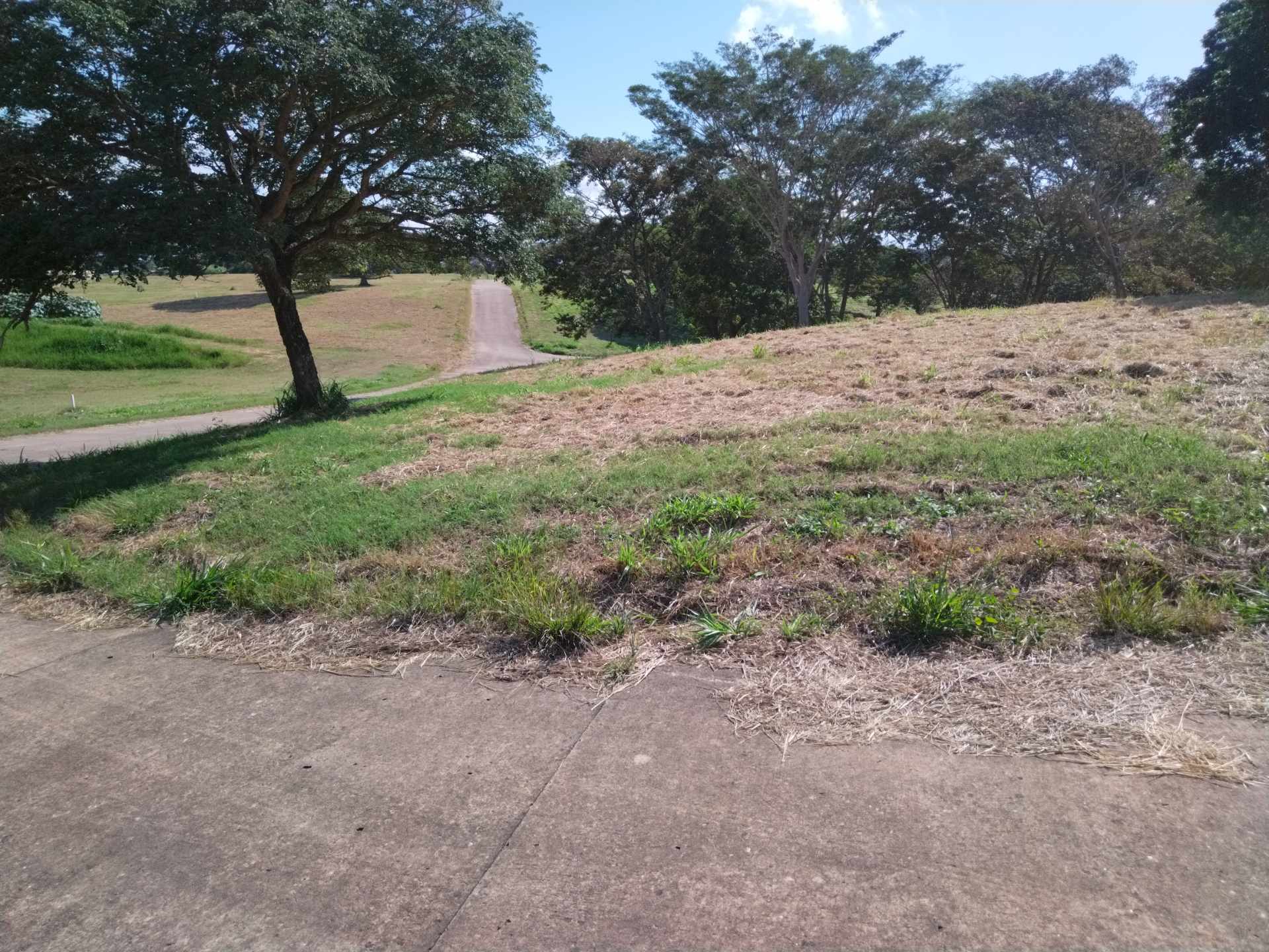Terreno en VentaCOLINAS DEL URUBO LAS PALMERAS/SECTOR LOMERÍO    Foto 3
