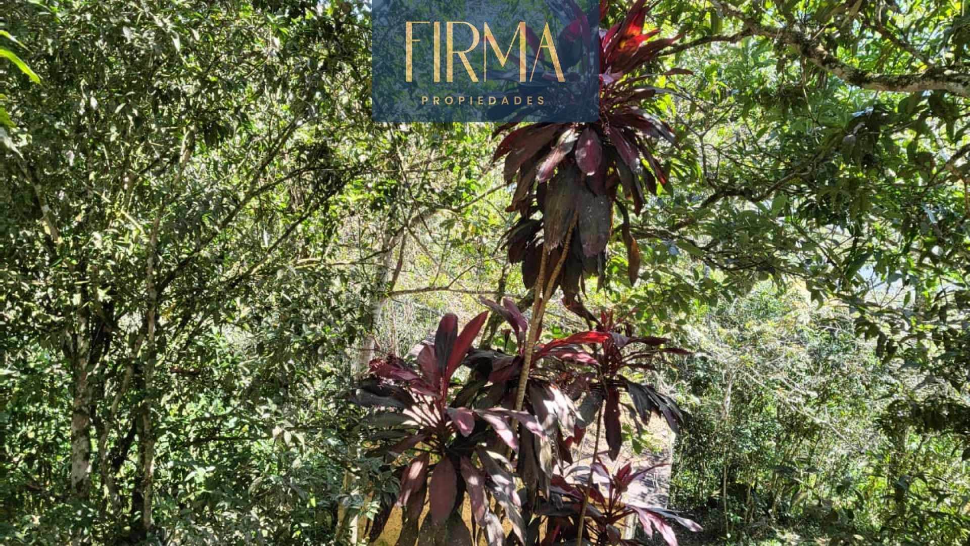 Terreno en Coroico en Coroico    Foto 3