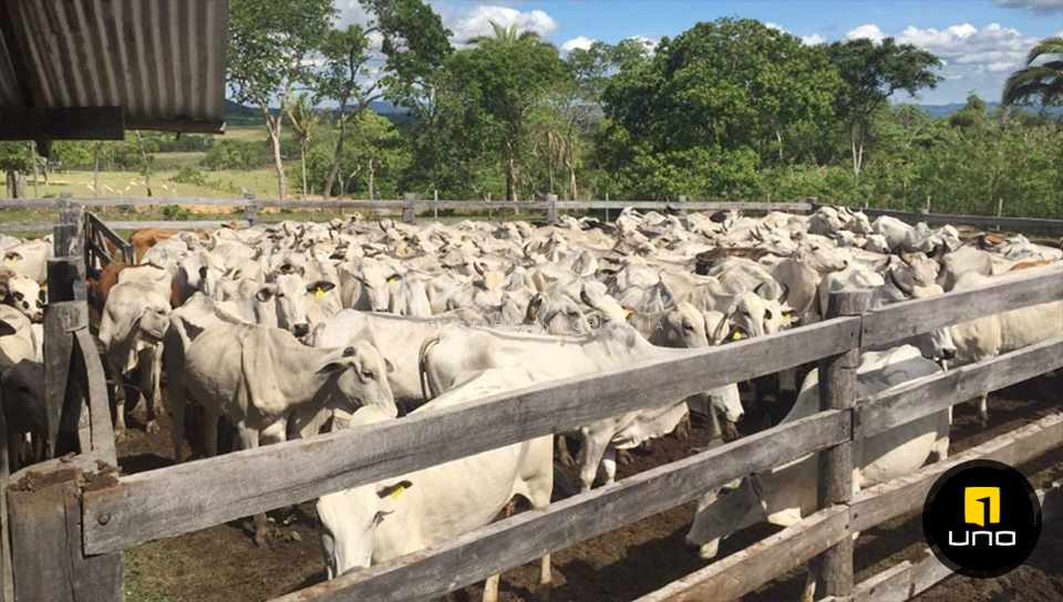 En Venta a $us 1,800 Foto 14