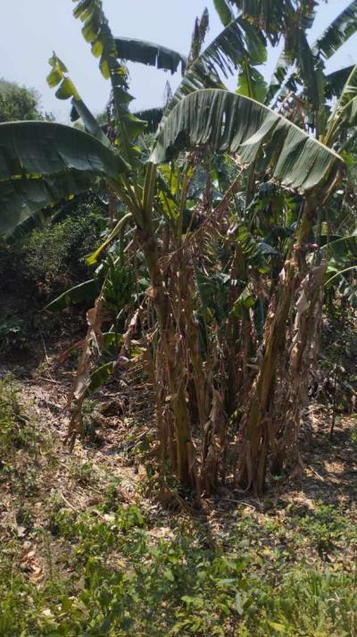 838561e75772449886cc679351948fee774542