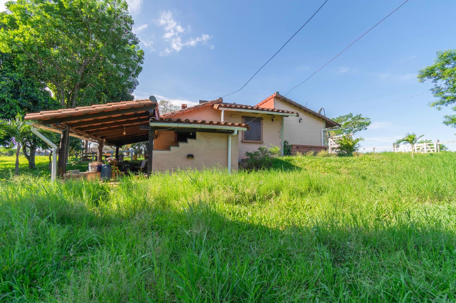 Quinta propiedad agrícola en Urubó en Santa Cruz de la Sierra    Foto 11