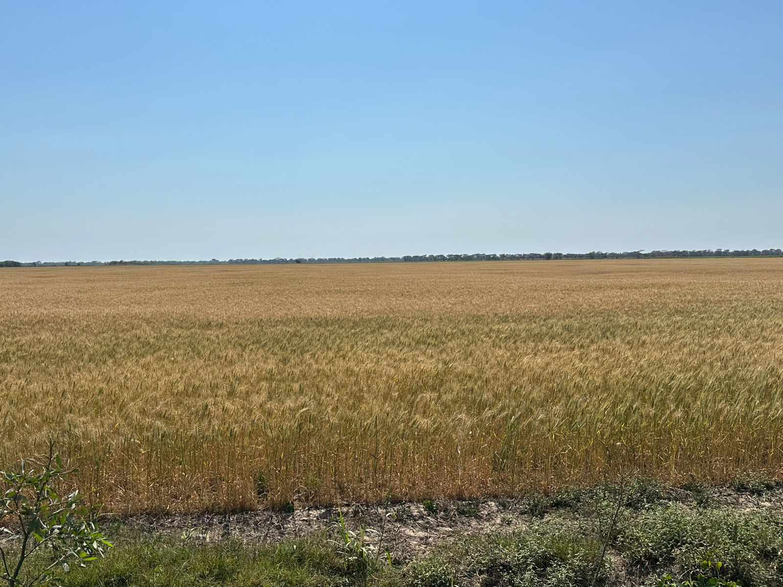 En Venta a $us 3,600,000 Foto 5