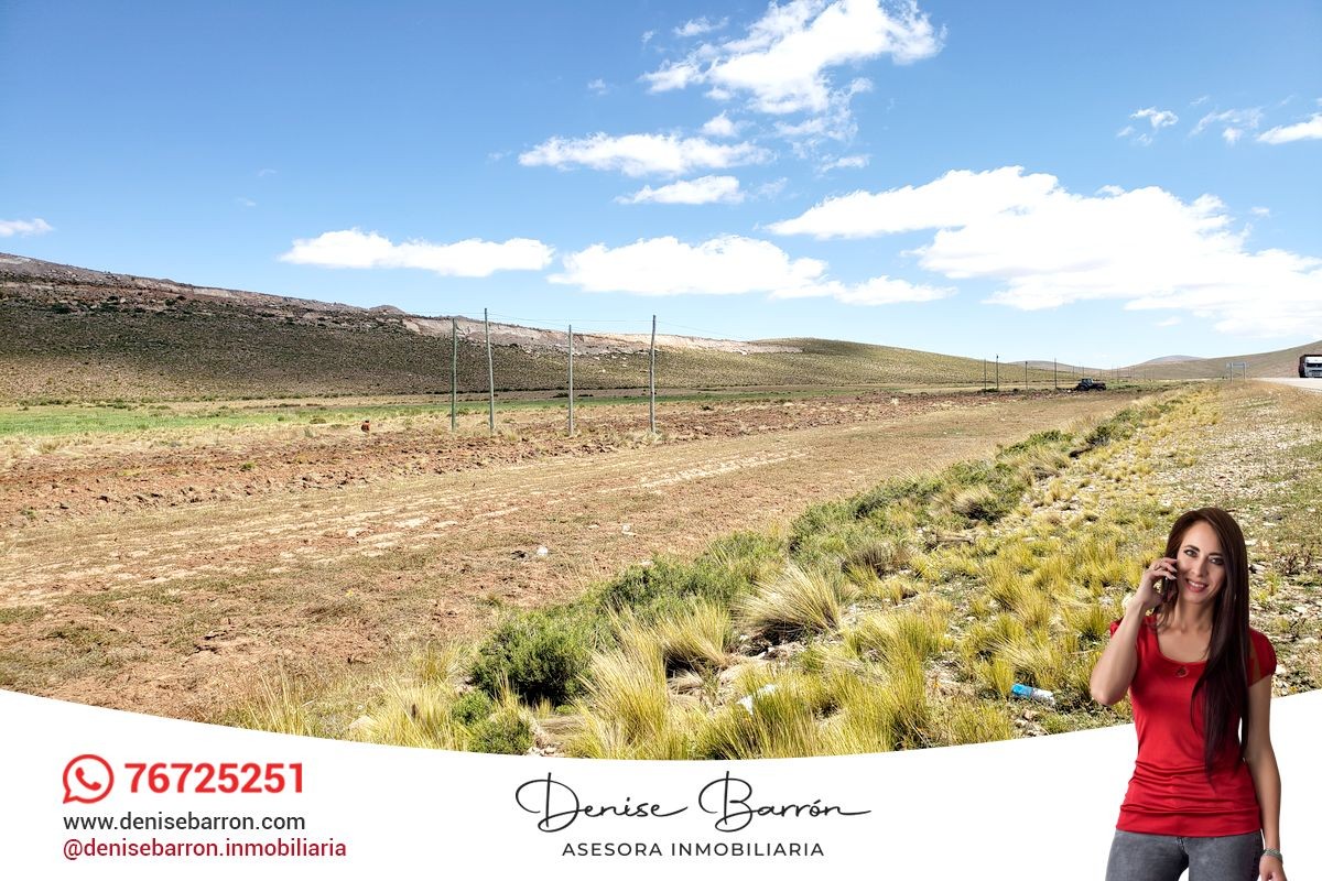 Terreno en VentaCARRETERA LA PAZ - ORURO, TERRENO EN VENTA EN VILA VILA    Foto 9