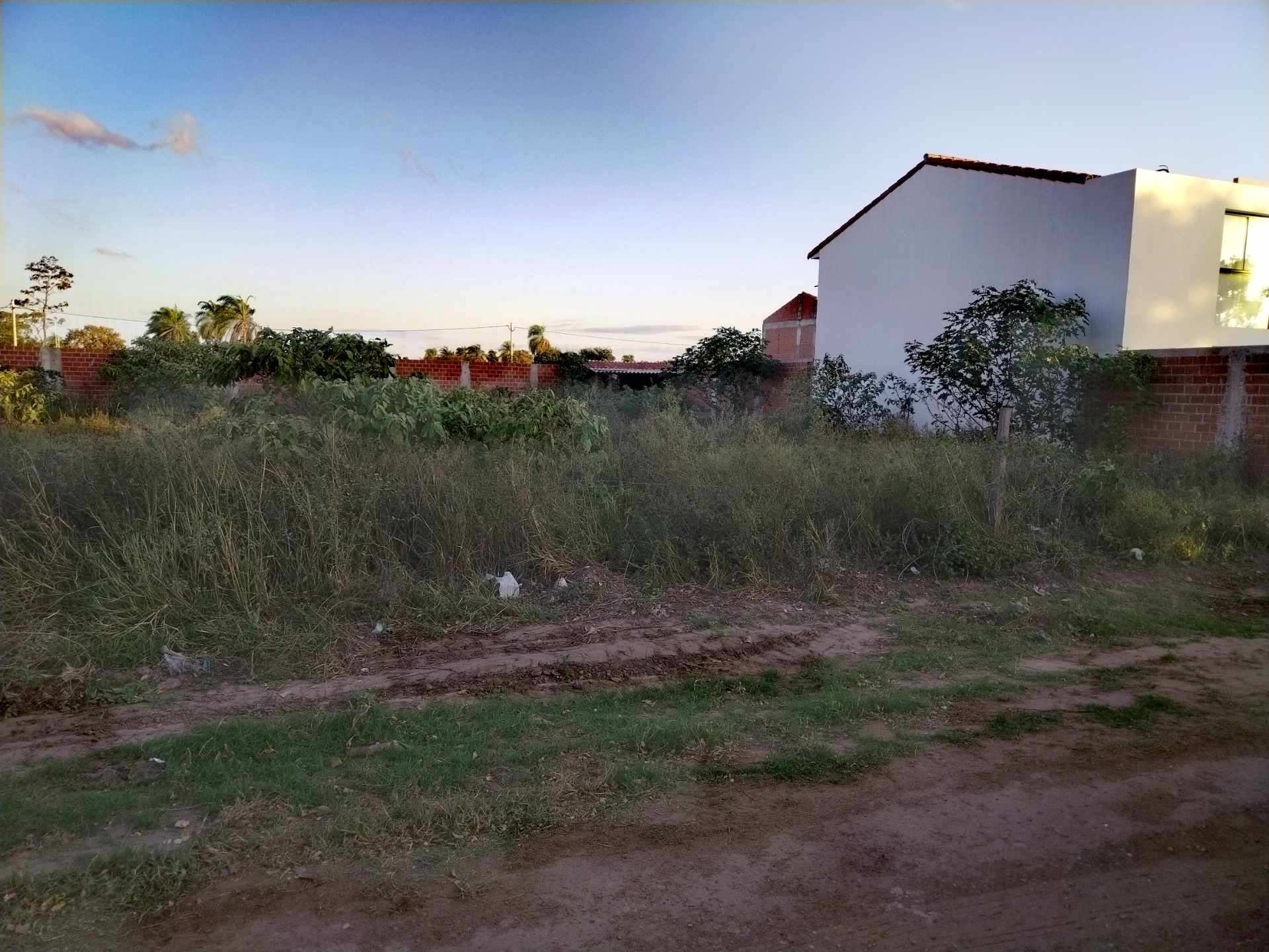 Terreno en Carretera Norte en Santa Cruz de la Sierra    Foto 2