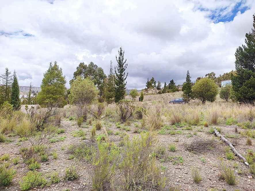 En Venta a $us 140,000 Foto 2