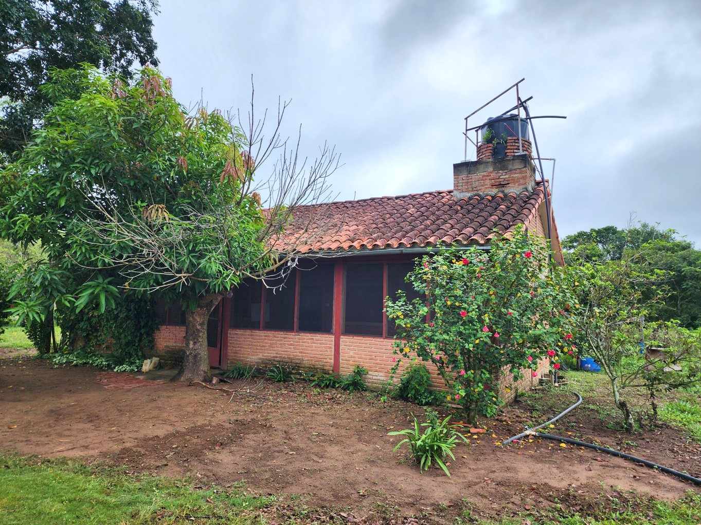 Quinta propiedad agrícola en VentaPROPIEDAD GANADERA EN EL MUNICIPIO DE SAN JAVIER Foto 17