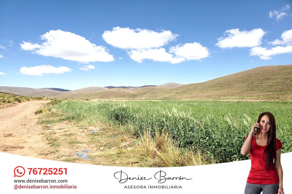 Terreno en VentaCARRETERA LA PAZ - ORURO, TERRENO EN VENTA EN VILA VILA    Foto 5