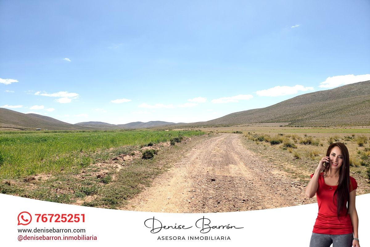 Terreno en VentaCARRETERA LA PAZ - ORURO, TERRENO EN VENTA EN VILA VILA    Foto 6