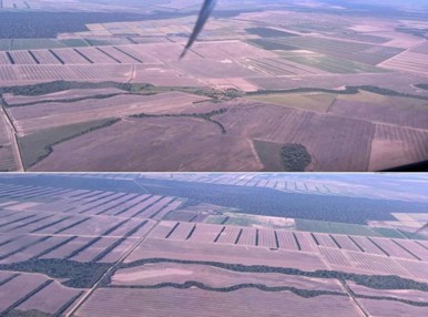 Quinta propiedad agrícola En Venta Propiedad Agrícola con Potencial Ganadero en Marban - Beni Foto 13