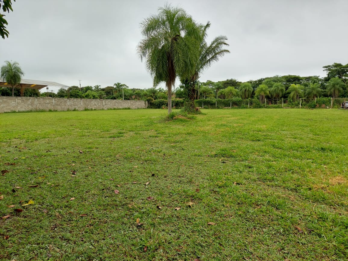 Quinta propiedad agrícola en VentaCARRETERA A COTOCA KM12,  2,5 HAS Foto 8