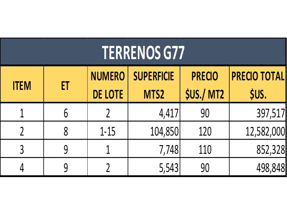 Terreno en VentaTERRENOS SOBRE AV G77  Foto 8