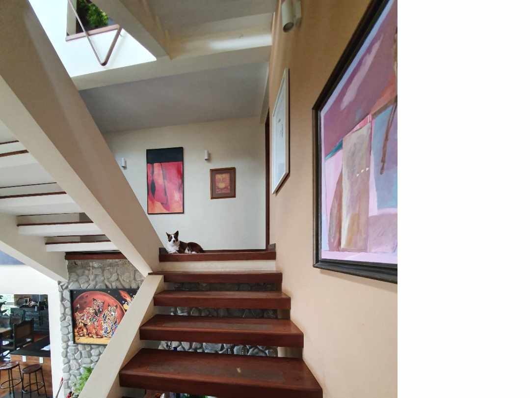 Casa en Achumani en La Paz 3 dormitorios 3 baños 2 parqueos Foto 19