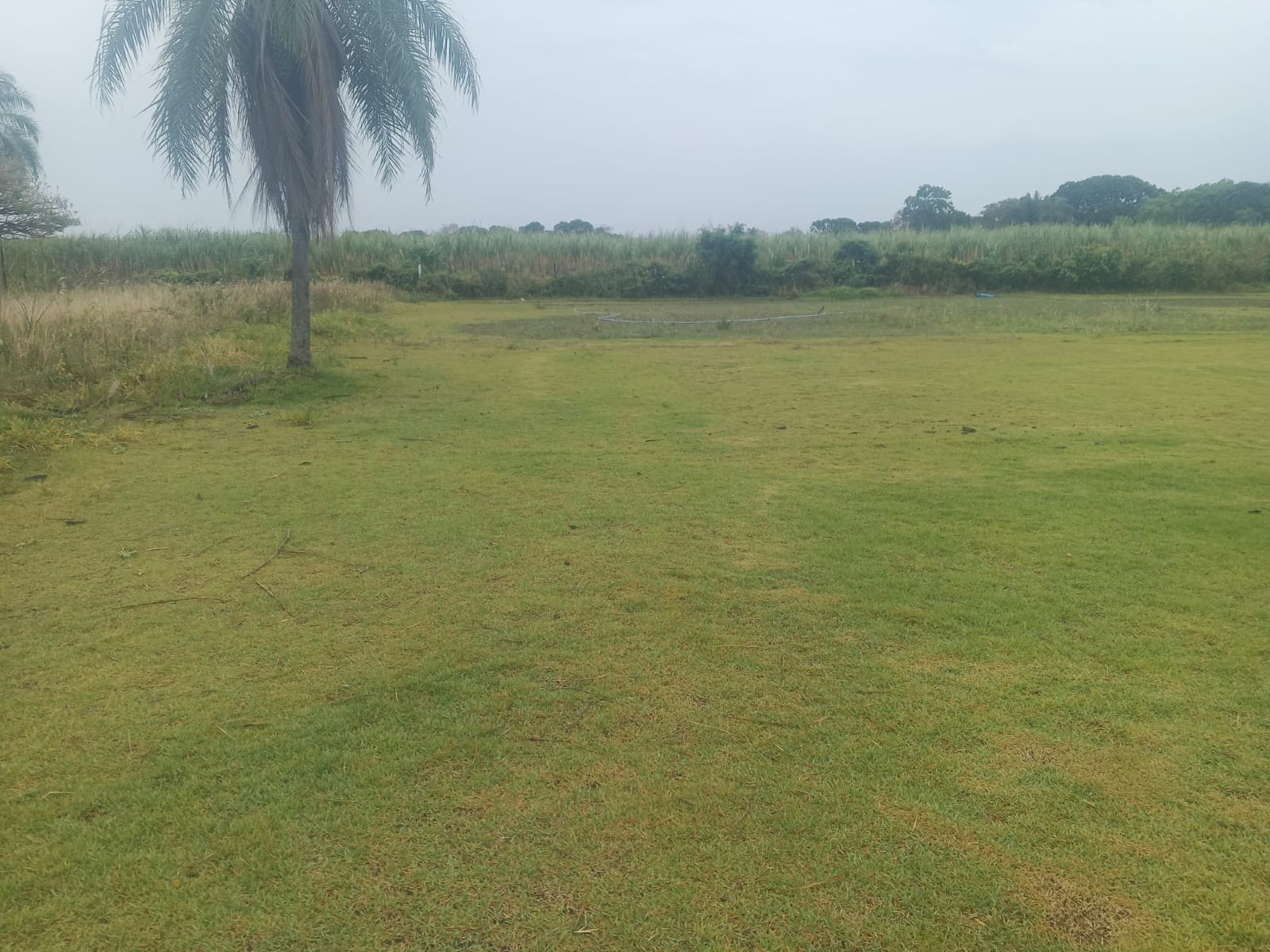 Terreno en Zona Nueva Santa Cruz en Santa Cruz de la Sierra    Foto 8