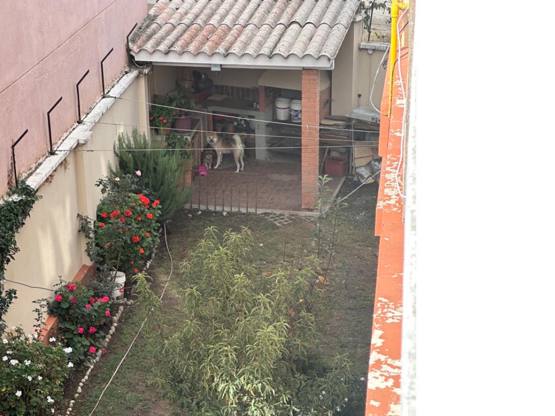 En Venta a $us 520,000 Foto 24