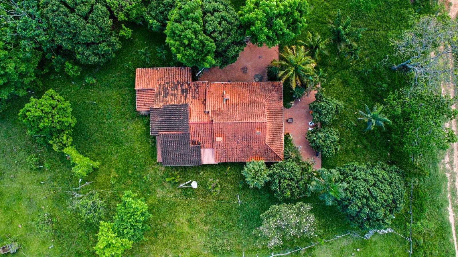 Quinta propiedad agrícola en Urubó en Santa Cruz de la Sierra    Foto 8