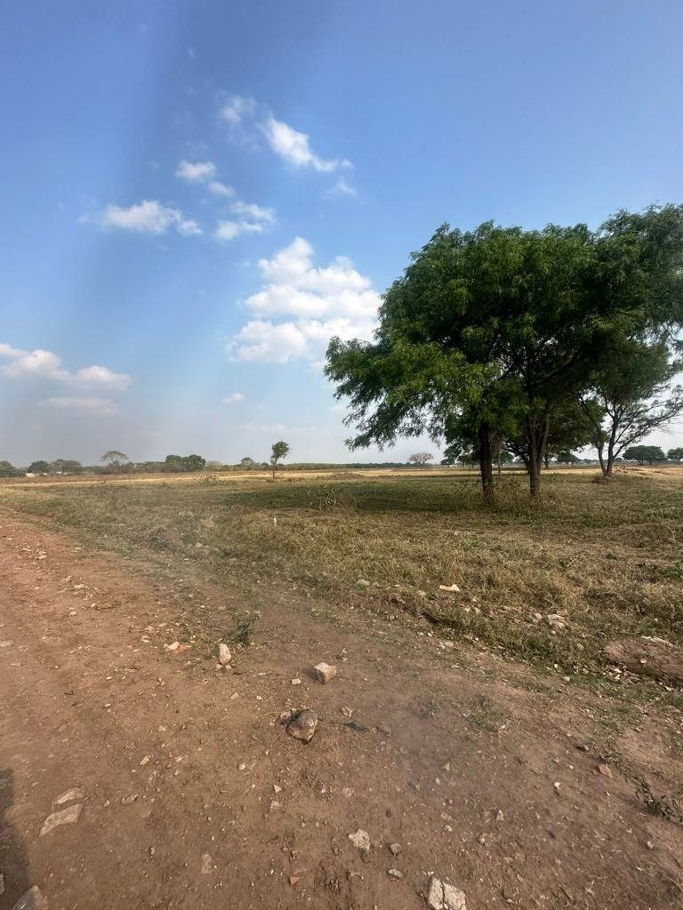 Terreno en Entre 9no y 10mo anillo Este en Santa Cruz de la Sierra    Foto 5