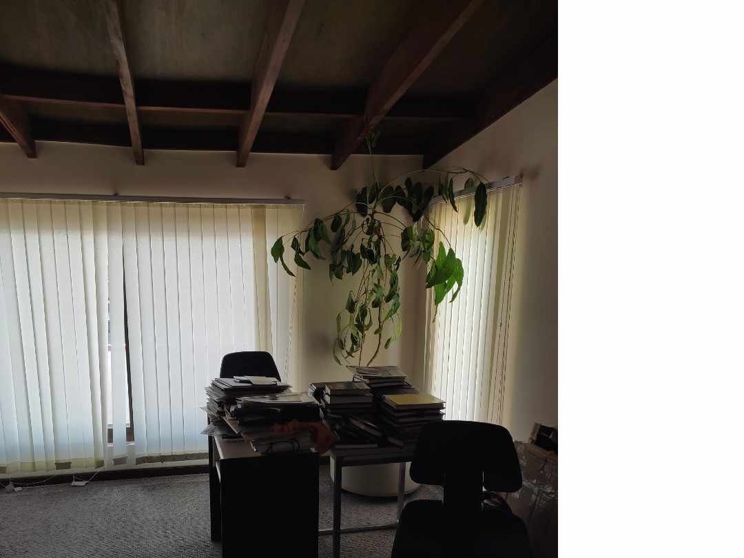 Casa San Miguel Foto 3