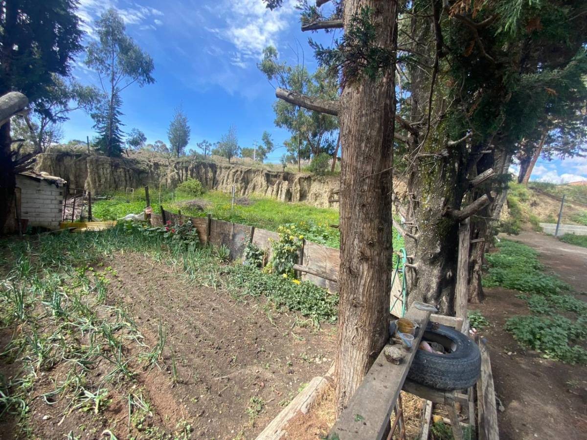Terreno en Mallasilla en La Paz    Foto 7