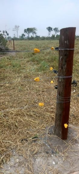 Quinta propiedad agrícola en Zona Nueva Santa Cruz en Santa Cruz de la Sierra    Foto 9